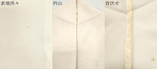平和屋着物＊夏物　訪問着　絽　手書き　草花文　暈し染め　正絹　逸品　CABK0791th