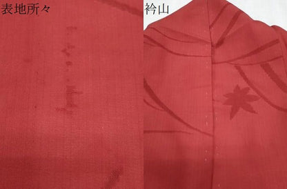 平和屋着物＊夏物　色無地　流水楓紋紗　朱・緋色　正絹　逸品　CABK0796th