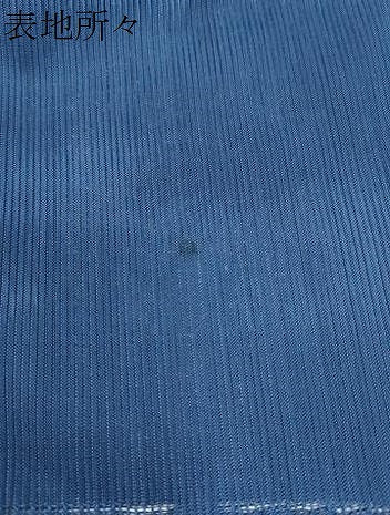 平和屋着物＊夏物　小紋　縦絽　流水舞葉紋紗　暈し染め　正絹　逸品　CABK0799th
