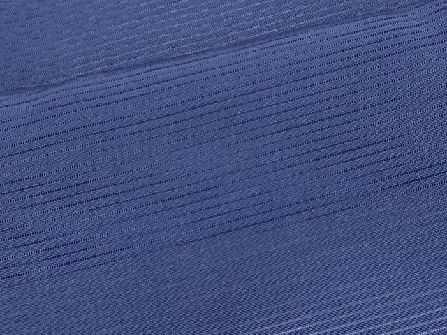 平和屋着物＊夏物　色無地　絽　紺青色　正絹　逸品　CABK0810ou