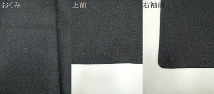 平和屋着物＊夏物　男性　紗紬　霞文　正絹　逸品　CABK0821ou