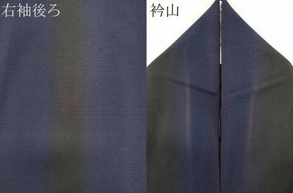 平和屋着物＊夏物　前田仁仙　仁仙更紗　小紋　絽　間道　暈し染め正絹　逸品　CABK0840ou