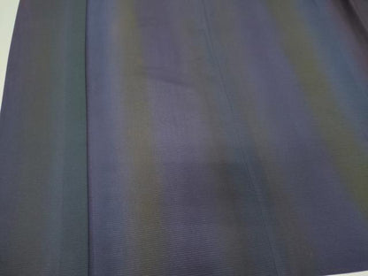 平和屋着物＊夏物　前田仁仙　仁仙更紗　小紋　絽　間道　暈し染め正絹　逸品　CABK0840ou