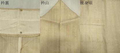 平和屋着物＊夏物　訪問着　生紬　紗　手描き　たけのこ　正絹　逸品　CABK0857ou