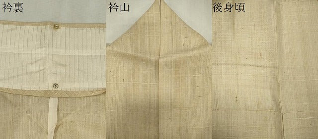 平和屋着物＊夏物　訪問着　生紬　紗　手描き　たけのこ　正絹　逸品　CABK0857ou