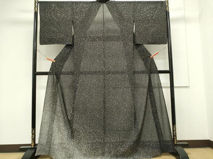 平和屋着物＊夏物　訪問着　絽　霞文　たたき染め　黒地　正絹　逸品　CABK0866ou