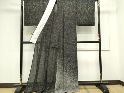 平和屋着物＊夏物　訪問着　絽　霞文　たたき染め　黒地　正絹　逸品　CABK0866ou