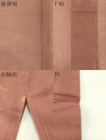 平和屋着物＊夏物　小紋　紗　幾何学文様　正絹　逸品　CABK0877ou