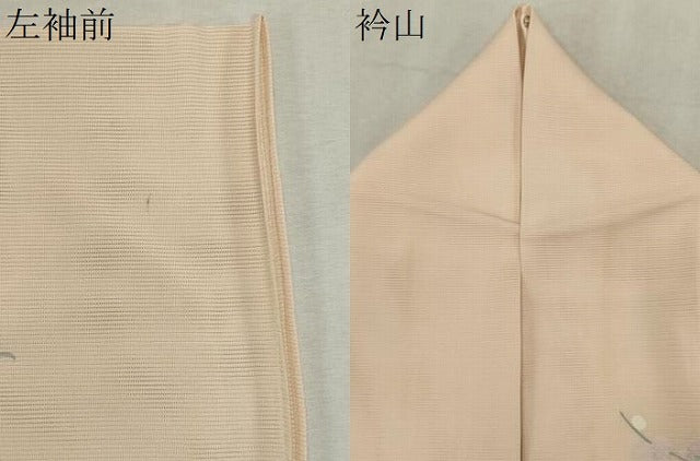 平和屋着物＊夏物　訪問着　絽　友禅　枝花文　暈し染め　ますいわ屋扱い　正絹　逸品　CABK0878ou