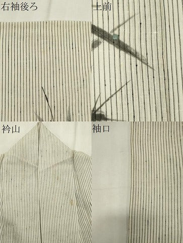 平和屋着物＊夏物　訪問着　紗紬　手描き　芒文　正絹　逸品　CABK0881ou