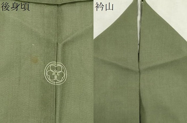 平和屋着物＊夏物　紗紬　柳茶色　正絹　逸品　CABK0885ou