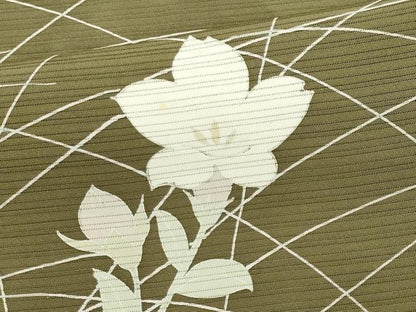 平和屋着物＊夏物　訪問着　絽　草花文　正絹　逸品　CABK0887ou