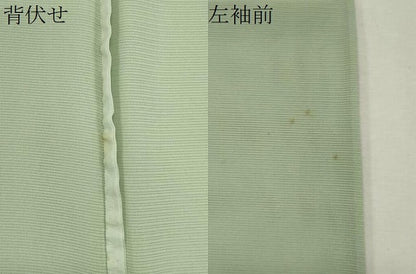平和屋着物＊夏物　訪問着　絽　手描き　舞蝶草木文　銀彩　正絹　逸品　CABK0891ou