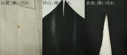 平和屋着物■豪華黒留袖　作家物　大名行列　金彩　正絹　逸品　CABK0896ou