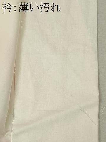 平和屋着物■長襦袢　袷　枝花文　正絹　逸品　CABK0914ou