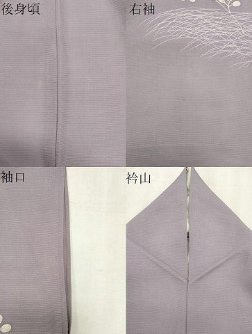 平和屋着物＊夏物　訪問着　絽　芝草枝花文　正絹　逸品　CABK0932ou