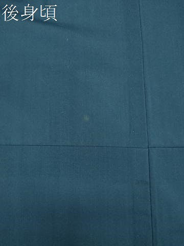 平和屋着物＊夏物　紗紬　霞文　正絹　逸品　CABK0937ou