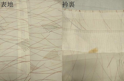 平和屋着物＊夏物　小紋　絽　芒文　正絹　逸品　CABK0943ou