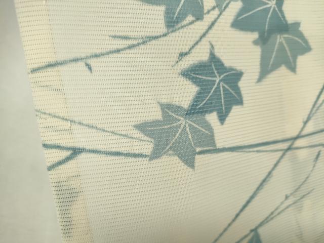 平和屋着物＊夏物　小紋　絽　楓文　正絹　逸品　CABK0944ou