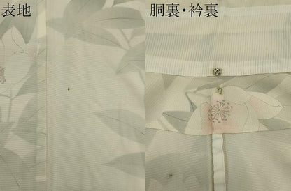 平和屋着物＊夏物　小紋　絽　手描き　草花文　暈し染め　銀彩　正絹　逸品　CABK0956ou