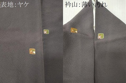 平和屋着物■上質な小紋　成り物　正絹　逸品　CABK0957ou