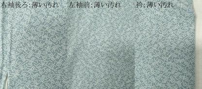 平和屋着物■江戸小紋　長寿　正絹　逸品　CABK0967ou