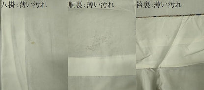 平和屋着物■上質な小紋　花鳥文　鬼しぼ縮緬　正絹　逸品　CABK0974ou