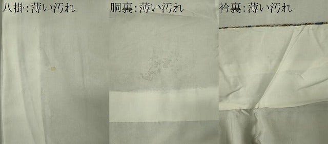 平和屋着物■上質な小紋　花鳥文　鬼しぼ縮緬　正絹　逸品　CABK0974ou