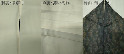 平和屋着物■本場大島紬　9マルキ　草花間道　鈴乃屋扱い　正絹　逸品　CABK0979ou