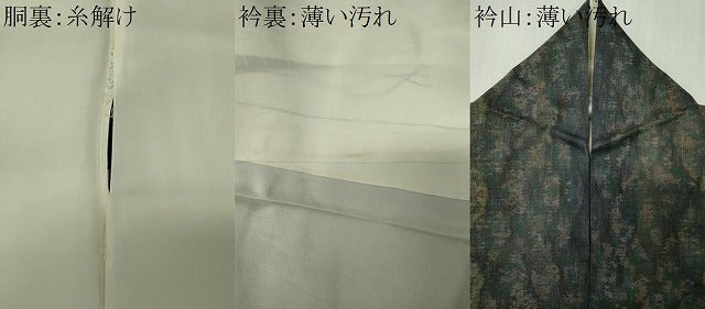 平和屋着物■本場大島紬　9マルキ　草花間道　鈴乃屋扱い　正絹　逸品　CABK0979ou