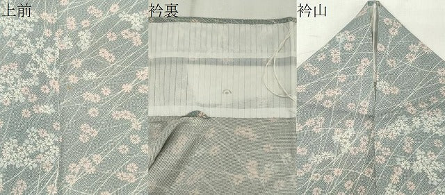 平和屋着物＊夏物　小紋　絽　舞花文　正絹　逸品　CABK0993ou