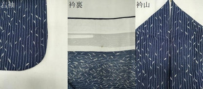 平和屋着物＊夏物　小紋　絽　枝葉間道　正絹　逸品　CABK0995ou