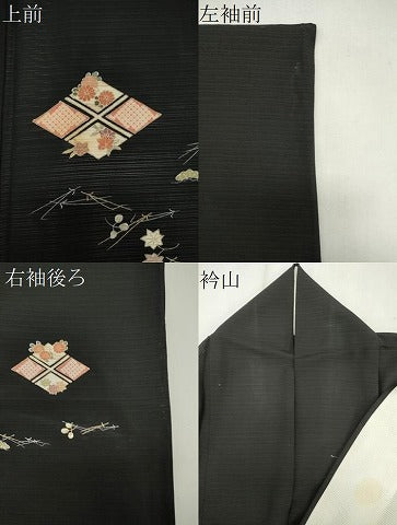 平和屋着物＊夏物　訪問着　絽　吹き寄せ文　黒地　金彩　正絹　逸品　CABK0999ou