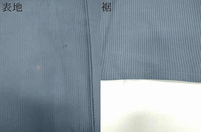 平和屋着物＊夏物　訪問着　縦絽　刺繍　宝尽し　正絹　逸品　CABK1000ou