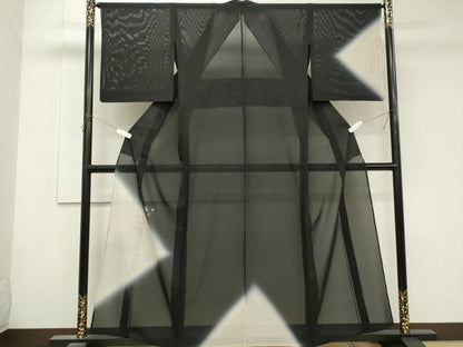 平和屋着物＊夏物　訪問着　絽　吹き寄せ文　暈し染め　黒地　正絹　逸品　CABK1001ou