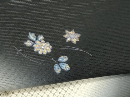 平和屋着物＊夏物　訪問着　絽　吹き寄せ文　暈し染め　黒地　正絹　逸品　CABK1001ou