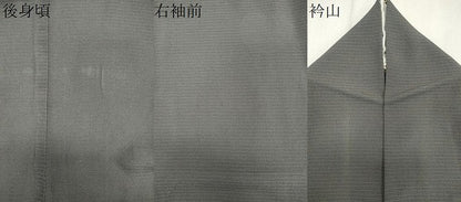 平和屋着物＊夏物　訪問着　絽縮緬　風景丸文　正絹　逸品　CABK1010ou