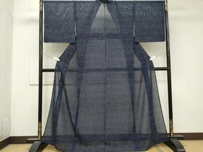 平和屋着物＊夏物　小紋　紋絽　藍　霞文　正絹　逸品　CABK1019ou