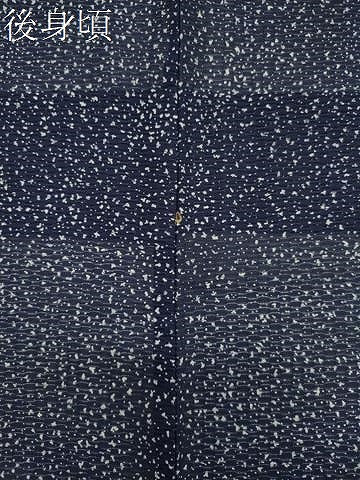 平和屋着物＊夏物　小紋　紋絽　藍　霞文　正絹　逸品　CABK1019ou