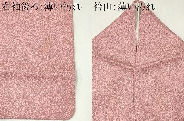 平和屋着物■江戸小紋　蓑亀　正絹　逸品　CABK1029ou