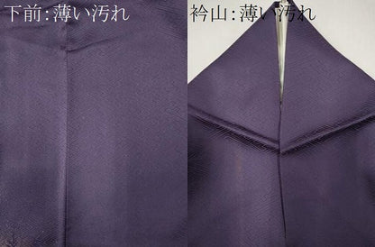 平和屋着物■訪問着　飛鶴文　三越扱い　正絹　逸品　CABK1047ou