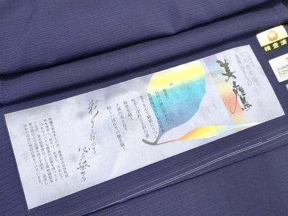 平和屋着物＊夏物　色無地　絽　深紫色　証紙付き　正絹　逸品　CABK1062ou
