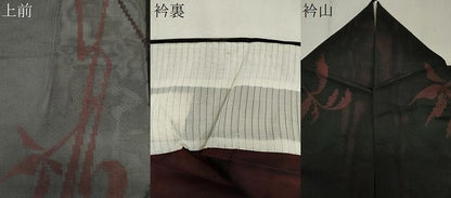 平和屋着物＊夏物　小紋　紗　飛鳥文　黒地　正絹　逸品　CABK1083ou