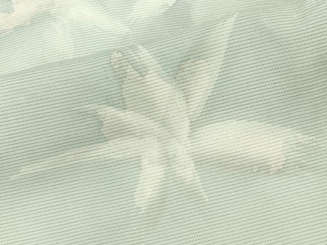 平和屋着物＊夏物　小紋　絽　舞葉文　正絹　逸品　CABK1086ou