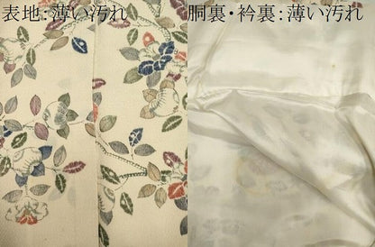 平和屋着物■上質な小紋　枝花文　鬼しぼ縮緬　正絹　逸品　CABK1109ou