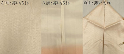 平和屋着物■訪問着　刺繍　エ霞草花文　金彩　正絹　逸品　CABK1113ou