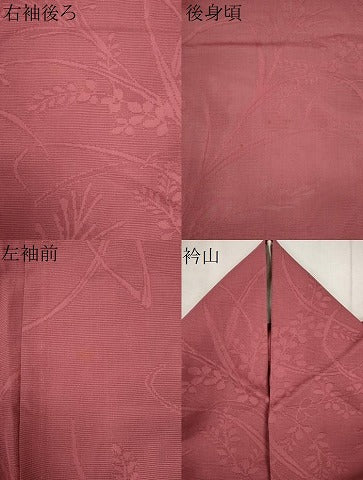 平和屋着物＊夏物　色無地　絽　草花紋紗　長春色　正絹　逸品　CABK1134ou