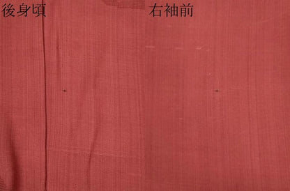 平和屋着物＊夏物　紗紬　草花紋紗　銀朱色　正絹　逸品　CABK1148ou