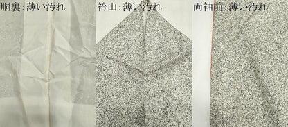 平和屋着物■訪問着　訪問着　草花文　金彩　正絹　逸品　CABK1163ou