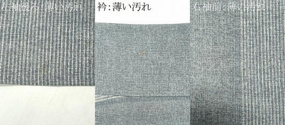 平和屋着物■上質な小紋　間道　正絹　逸品　CABK1164ou